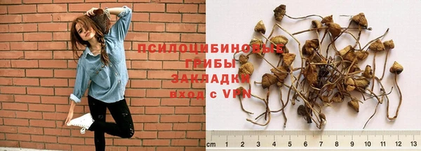 герыч Коряжма