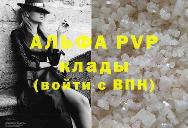 дурь Няндома